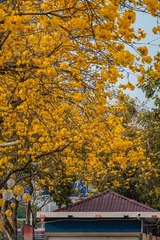 3099235