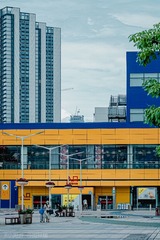 2990352