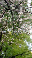 FF2FB9A4-7B03-4990-8E63-95CC19FA1F44/L0/001