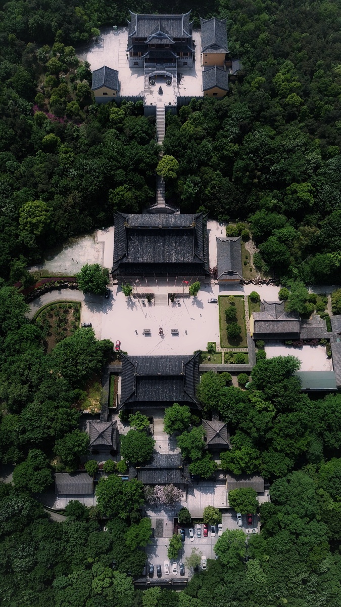 常熟虞山三峰寺的楸树花期正盛,楸树树龄两百多年 - 旅行的微尘