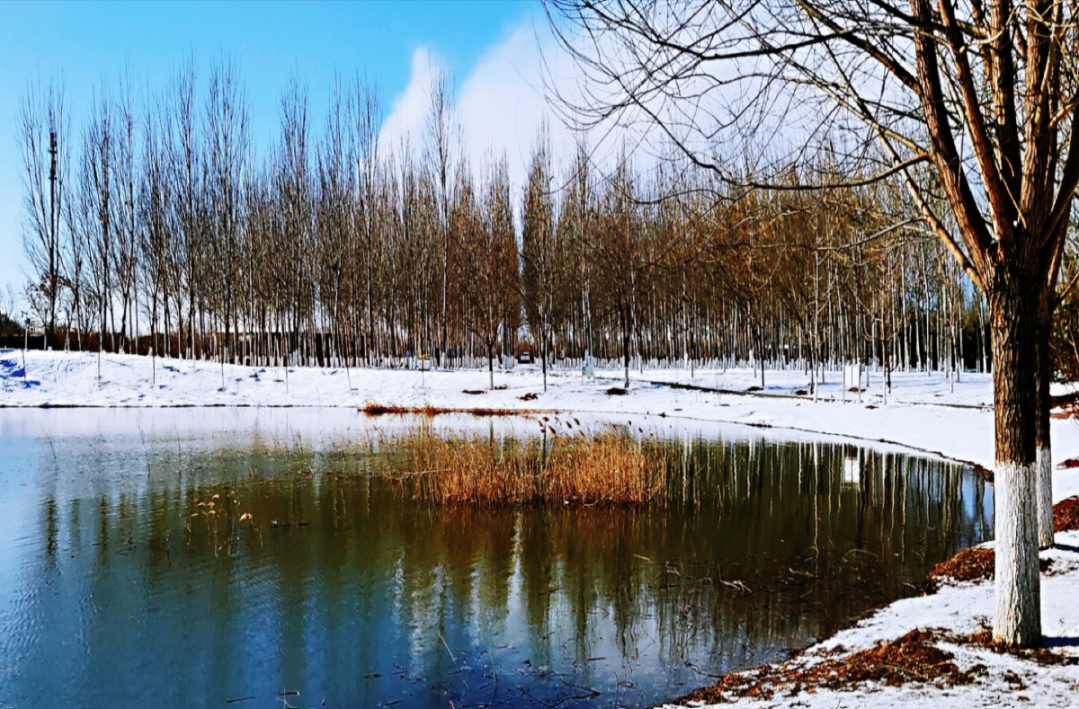 《雪霁天晴朗》