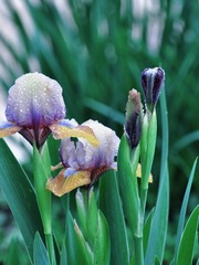 001
