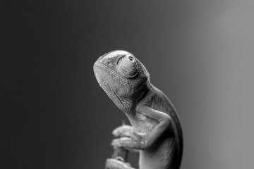 842050