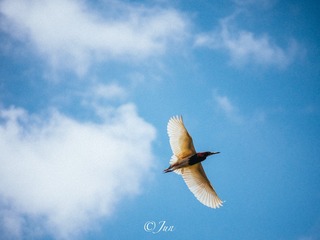 46F51509-E302-4E23-8F6C-563B23E147B5/L0/001