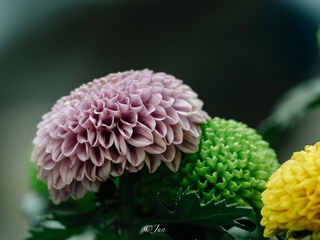 D7ADDFD6-B057-4475-BB38-C2348CAB54E2/L0/001