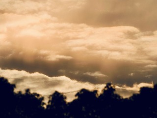 A41C05D7-C93E-4AE4-8187-3DBE54BB9CAA/L0/001