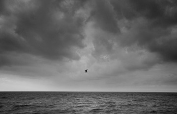 _IGP6468-1