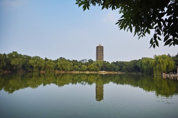 SDIM0208