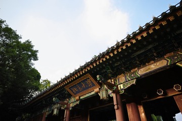 SDIM0214