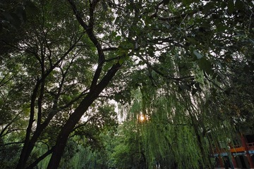 SDIM0191