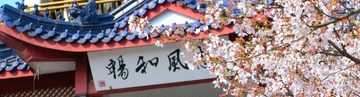 IMG_20161117_075225
