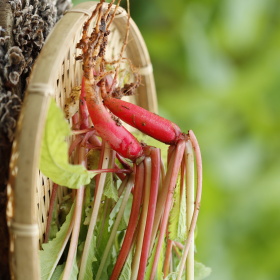 白丁ins标为元气满满的一天从早餐开始的图博 - 白丁ins - 图虫摄影网