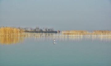 200103