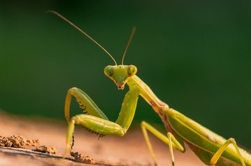 11039
