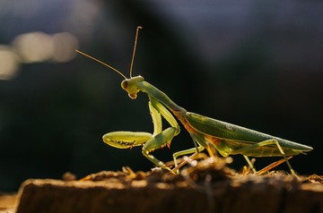11148