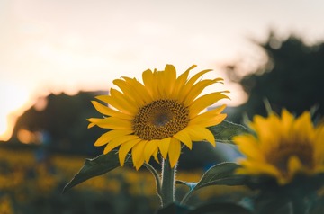 10379