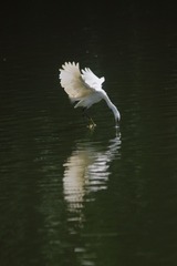 1470241