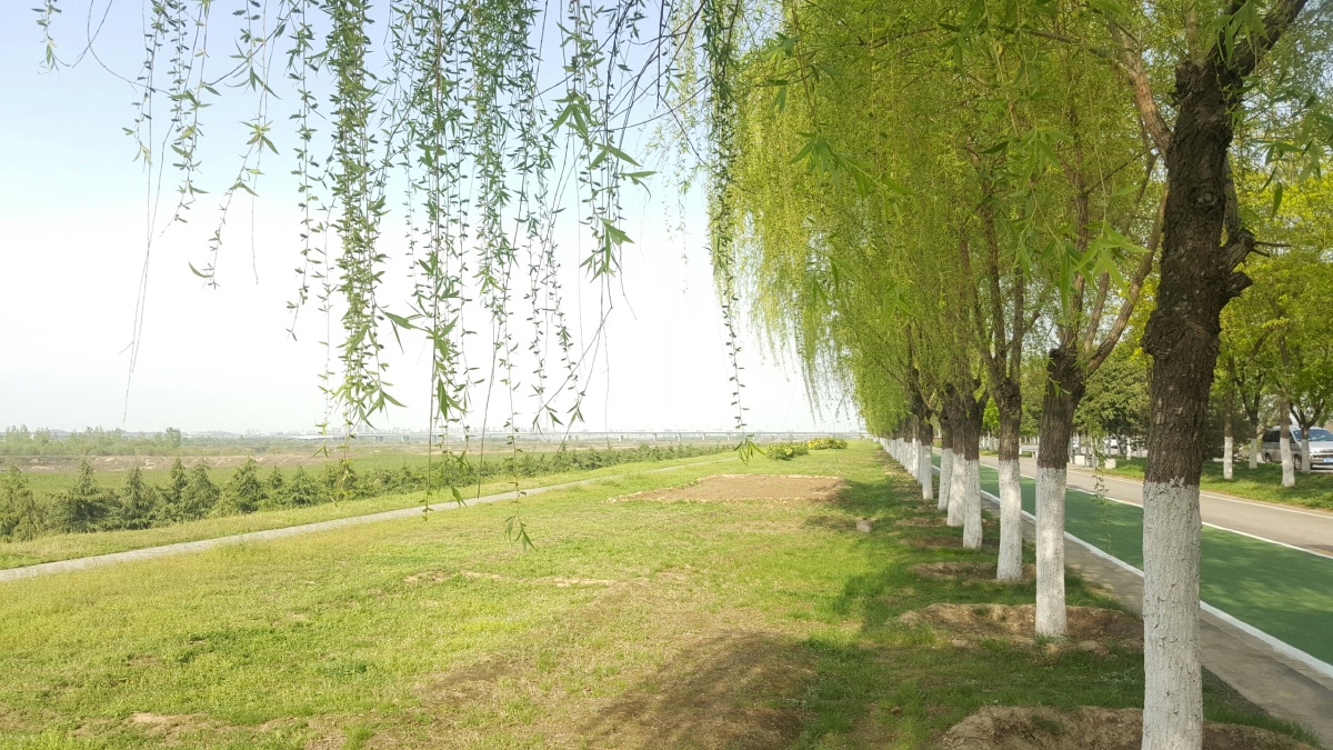 最美河堤路 - bg9-dxh西安土匪 - 图虫网 - 优质摄影师交流社区