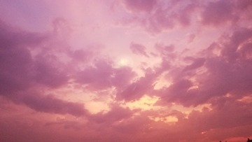 1266173