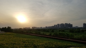 1255988