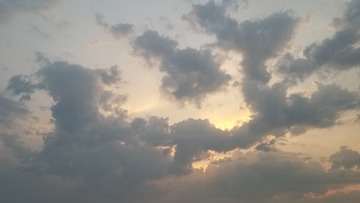 1266166