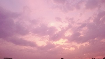 1266175