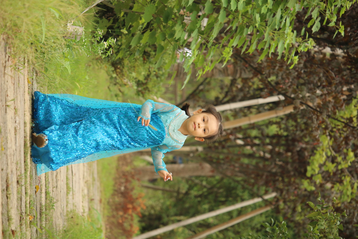 江南慢村小仙女艾莎公主公主