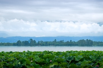 邛海的风景