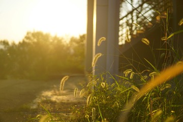 DSC01999-01