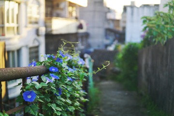 DSC02001-01