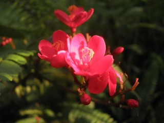 9638484C-A7E3-4644-9433-82FB9E596AA7/L0/001