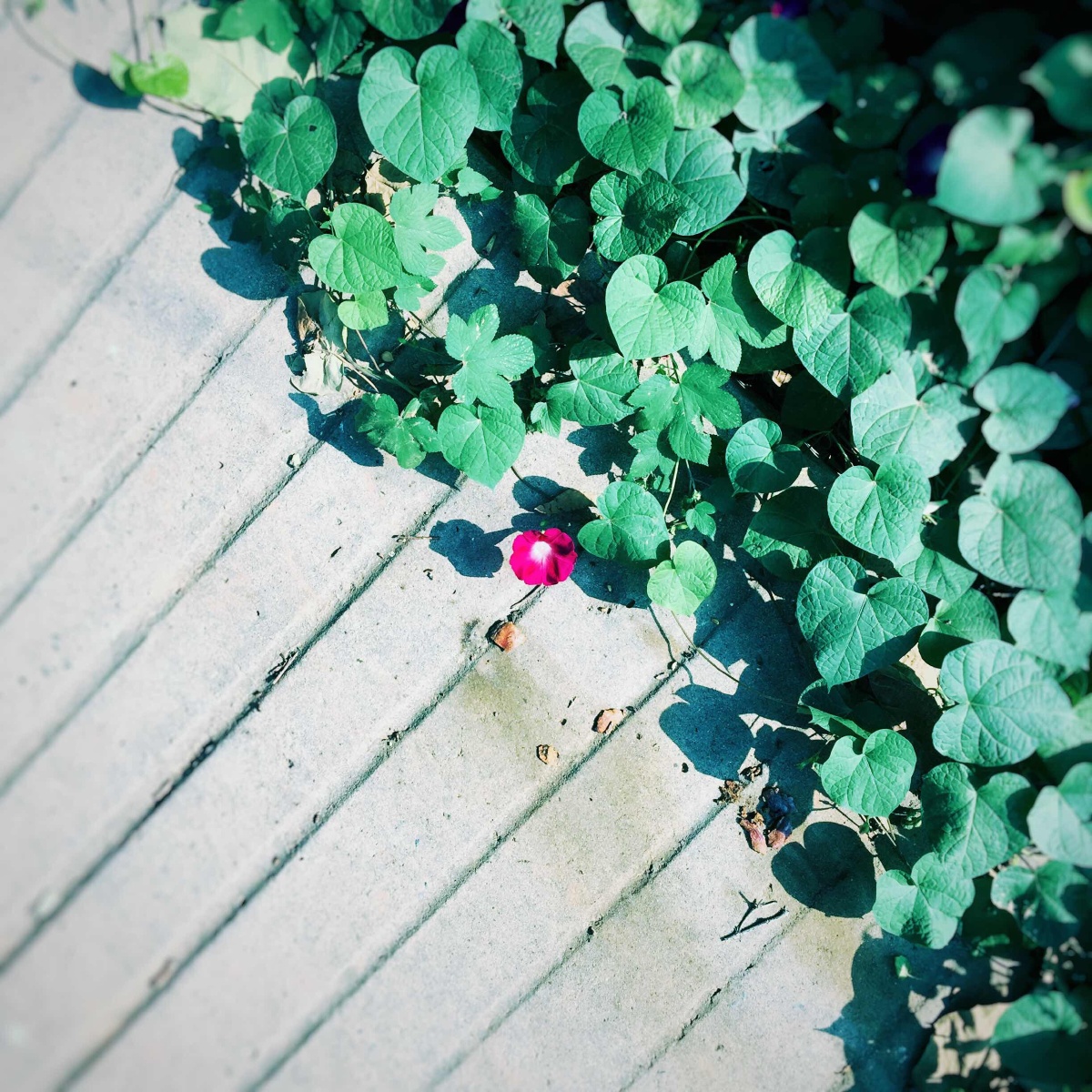 一道光 - 街拍, 色彩, 城市, 手机 - 邢元丹丹