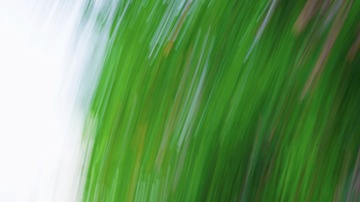 5D40A4B7-1F83-420A-91C8-5B9AB4F0C6DC/L0/001