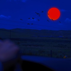 C71C8EC5-074B-4539-96BC-808F7F9AD0C3/L0/001