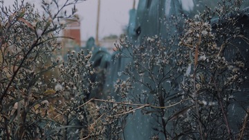 550350