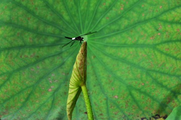 001