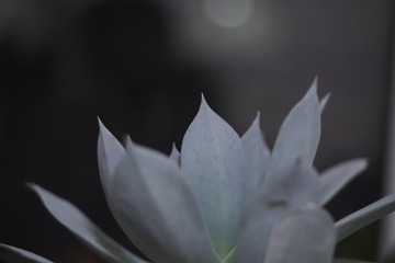 110381