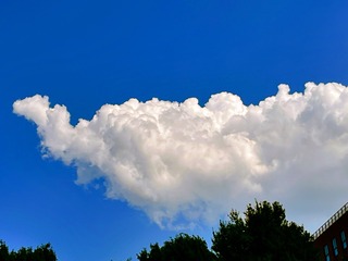 E0502357-2761-40B5-A007-60218BC0BF54/L0/001