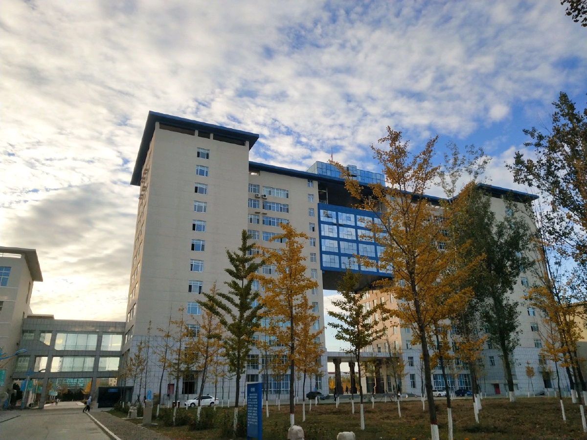 一年四季的大学河北对外经贸职业学院