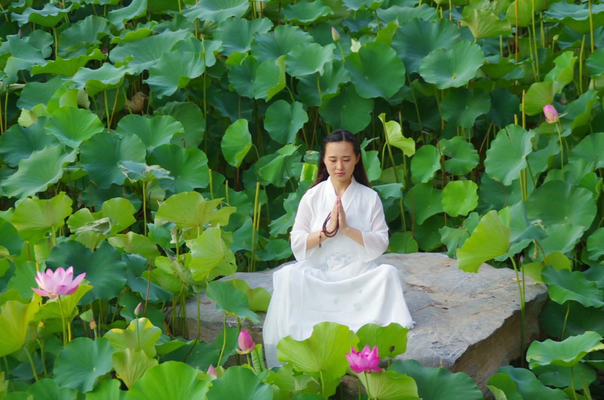一花一世界心如莲花开