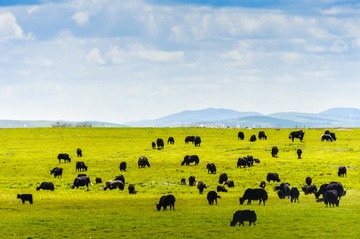 _DSC6034