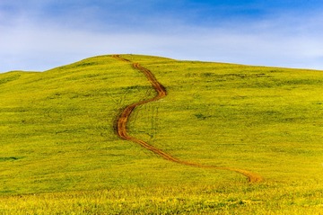 _DSC6082