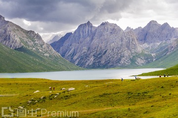_DSC6130
