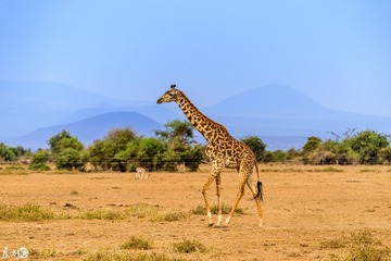 _DSC9081