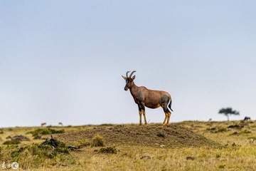 _DSC9767