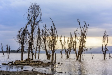 _DSC0490