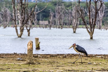 _DSC0519