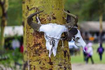 _DSC0552