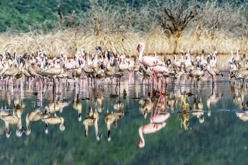 _DSC0752