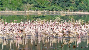 _DSC0841-Pano